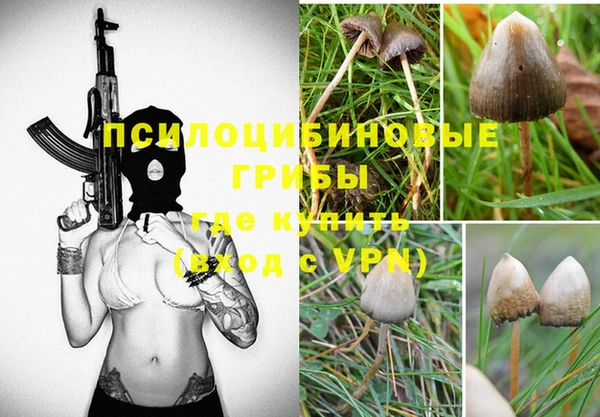 героин Богородицк