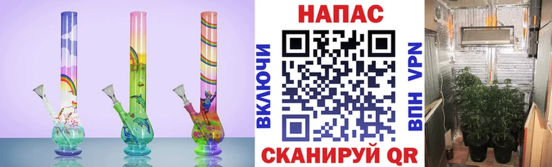 Бошки Шишки AK-47  Бологое 